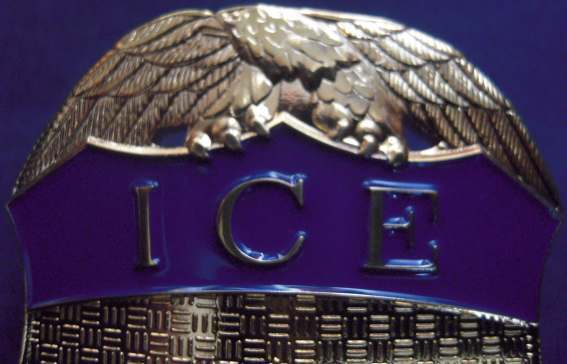 Insigne ICE